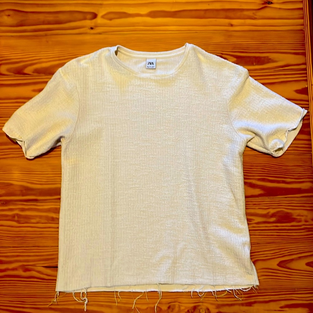 Men’s Zara tee distressed US LARGE
